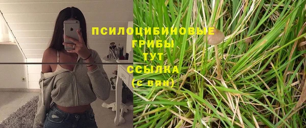 дживик Алексин