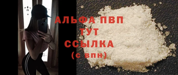 индика Армянск